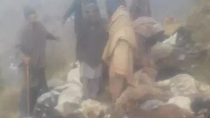 Lightning kills 40 sheep and goats in Ramban, Jammu and Kashmir